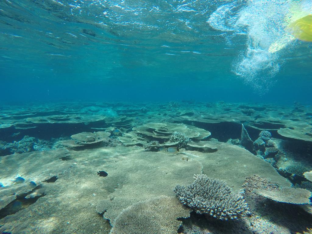 Holiday Haven Ukulhas Dış mekan fotoğraf