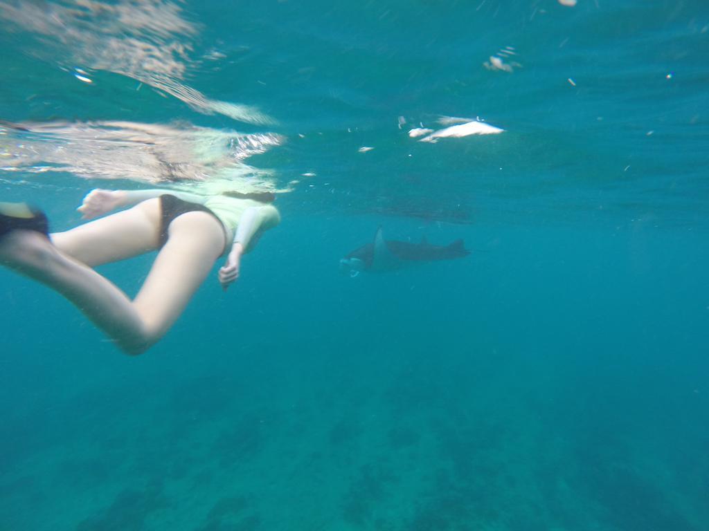 Holiday Haven Ukulhas Dış mekan fotoğraf